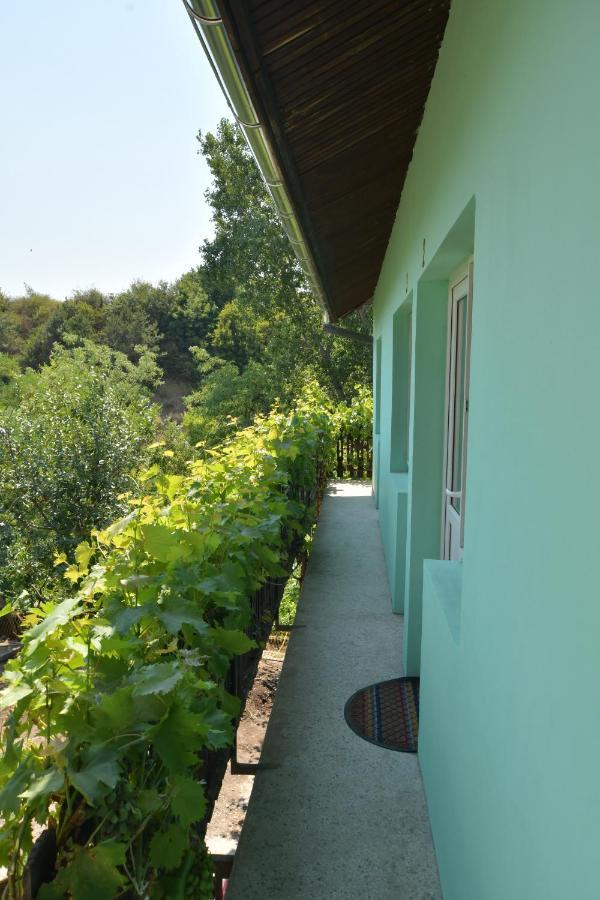 Rooms Petrovic Kladovo Exterior foto